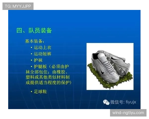 足球判罚标准详解：关键判定条件与裁判执行原则解析